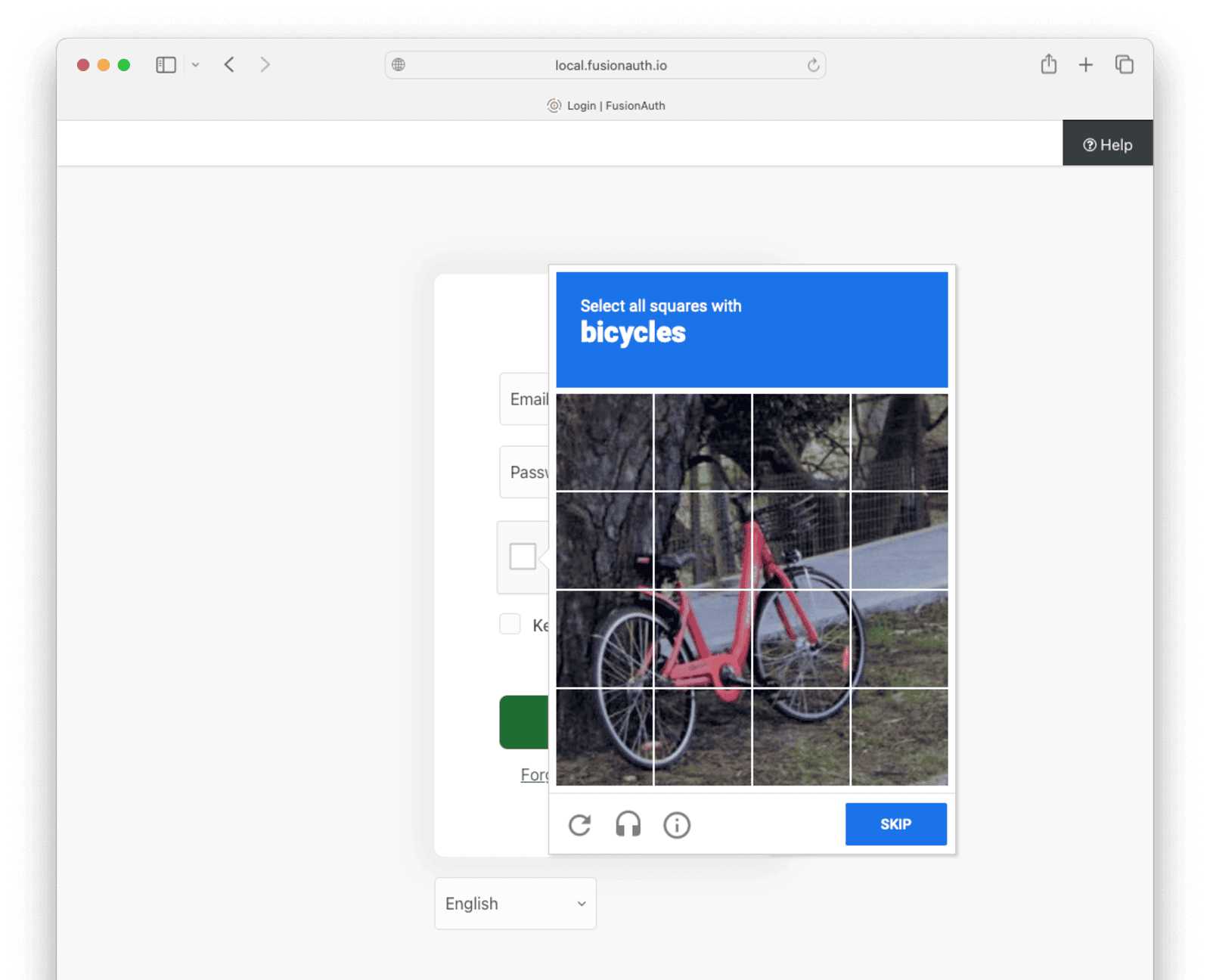 Login with reCAPTCHA