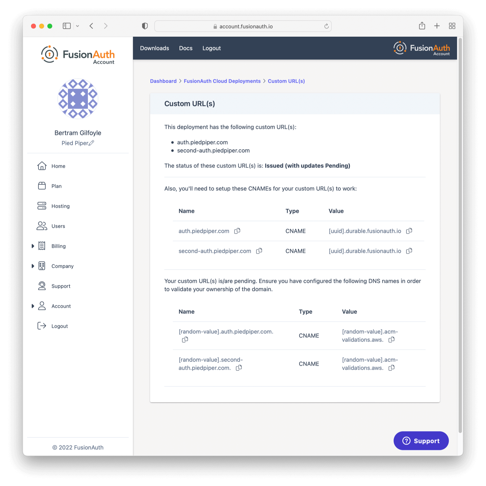 Pending verification custom url is in a issued state.