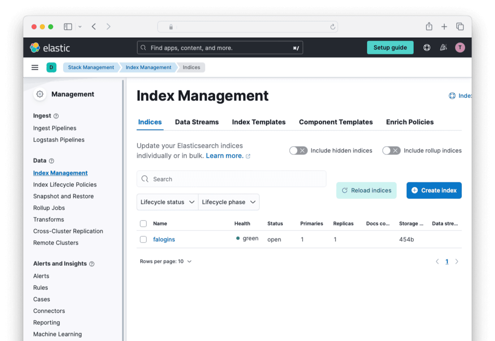 Index management in Elastic