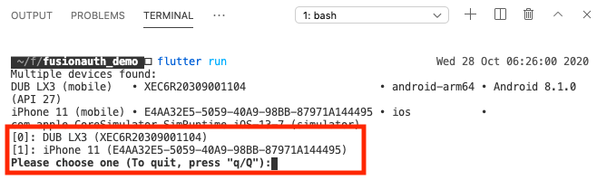 Output of the flutter run command..